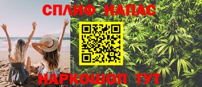 стафф Нальчик