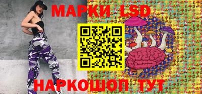 стафф Нальчик