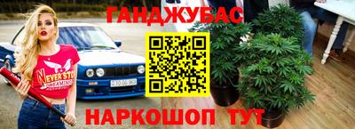 стафф Нальчик
