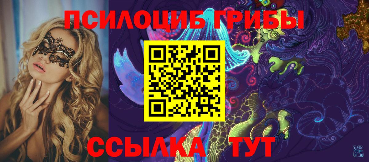 Псилоцибиновые грибы Psilocybe Сафоново