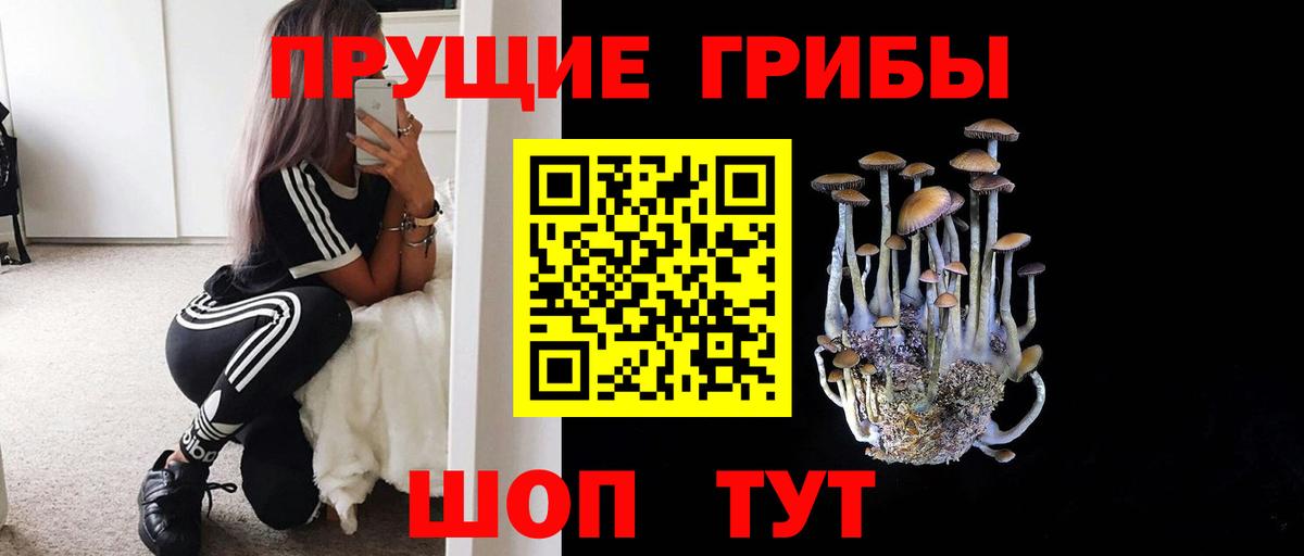 Галлюциногенные грибы Psilocybine cubensis  Вход с VPN  Сафоново  Псилоцибиновые грибы Magic Shrooms 